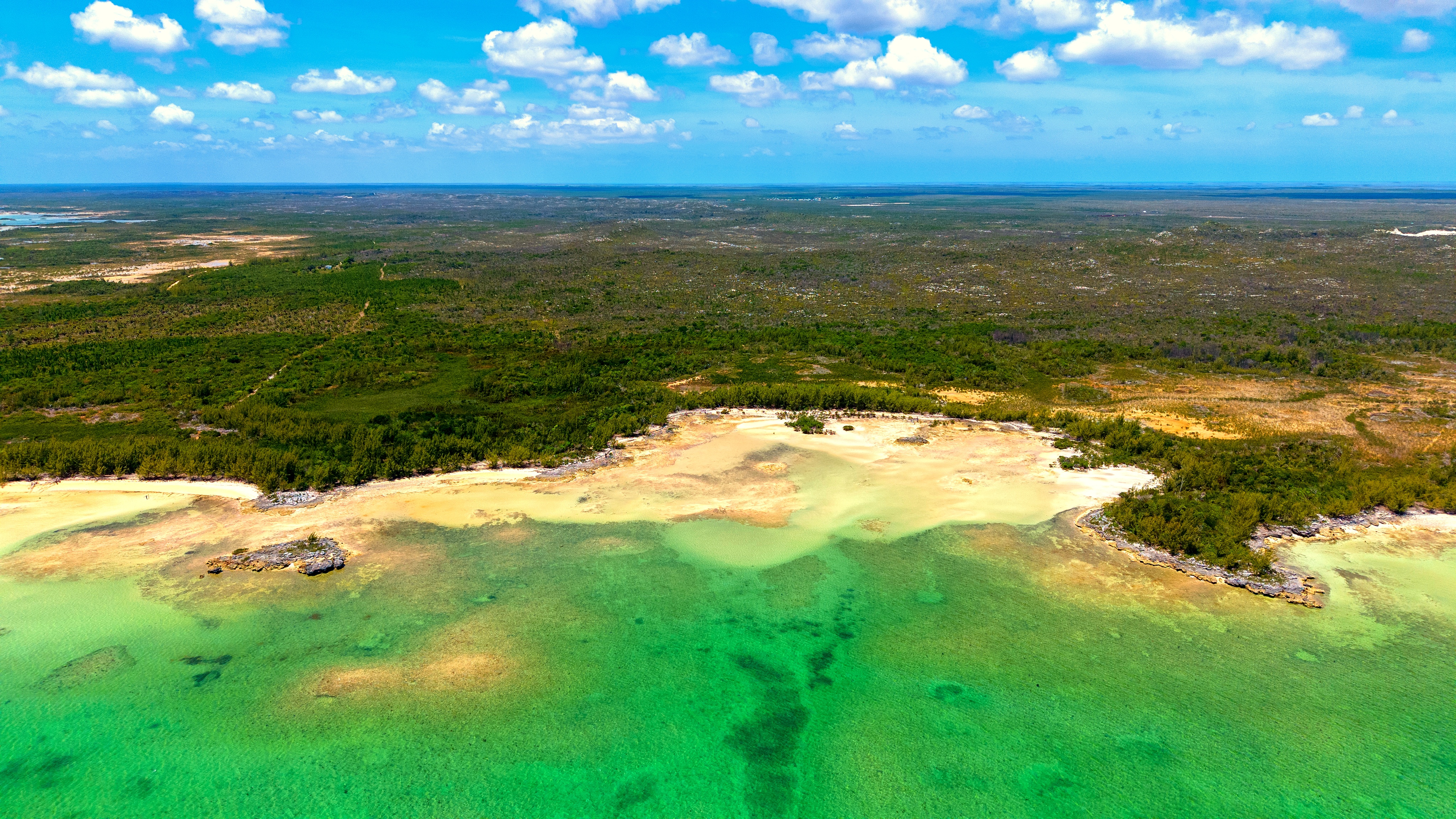 Aiden's Bay reef and shoreline